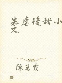 先虐后甜小说推文