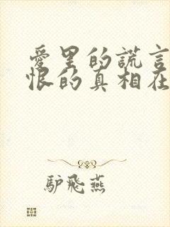 爱里的谎言,仇恨的真相在线观看