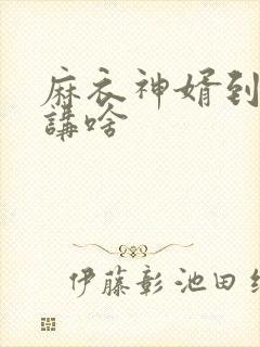 麻衣神婿到底在讲啥