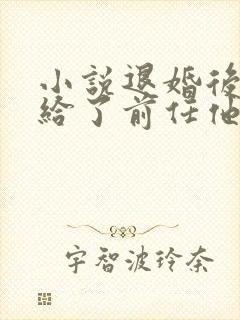 小说退婚后我嫁给了前任他叔