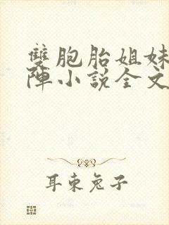 双胞胎姐妹齐上阵小说全文阅读