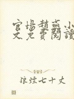 官场赵燕小说全文免费阅读