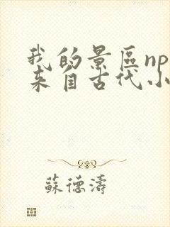 我的景区npc来自古代小说