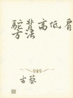 驼背高低肩矫正方法封面