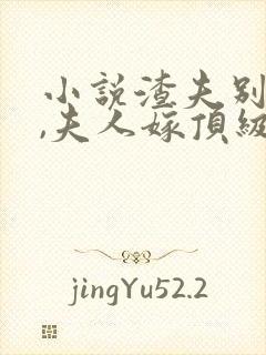 小说渣夫别跪了,夫人嫁顶级大佬显怀了