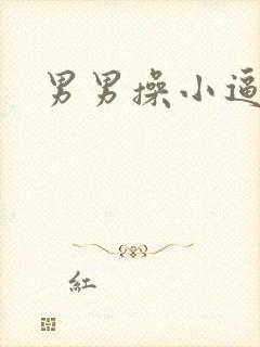 男男操小逼小说