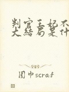 判官王妃不好惹大结局是什么封面