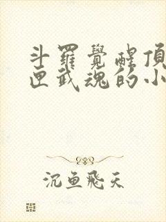 斗罗觉醒顶级剑匣武魂的小说