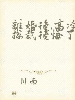 离婚后,高冷女总裁后悔了在线阅读