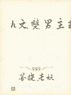 h文双男主推荐封面