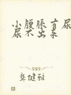 小腹胀有尿意却尿不出来