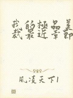 我的极品美女总裁最近章节