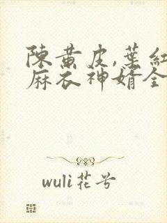 陈黄皮,叶红鱼麻衣神婿全文阅读免费