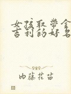 女孩取带金字旁吉利的好名