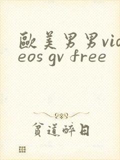欧美男男videos gv free