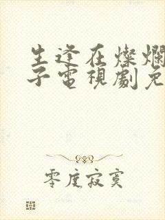 生逢在灿烂的日子电视剧免费