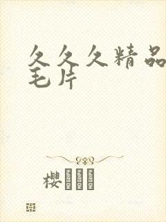 久久久精品国产毛片