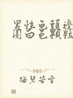 男性龟头边缘一圈白色颗粒