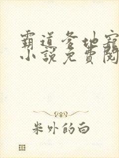 霸道爹地宠又撩小说免费阅读