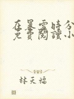 在暴雪时分全文免费阅读小说封面