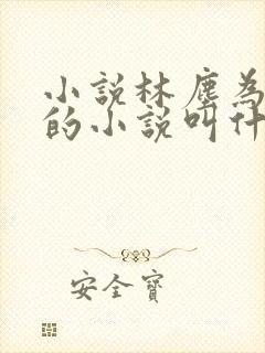 小说林尘为主角的小说叫什么名字封面