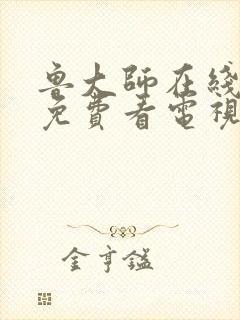 鲁大师在线播放免费看电视剧最新章