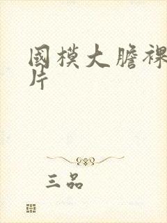 国模大胆裸体照片