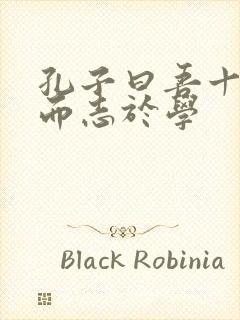 孔子曰吾十有五而志于学