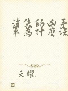 消失的凶手唐浩军为什么没和其他尸