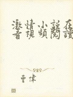 激情小说在线观看视频阅读