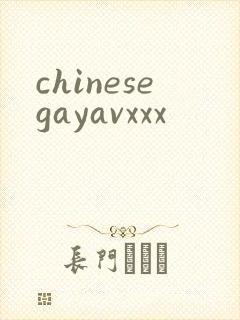 chinesegayavxxx