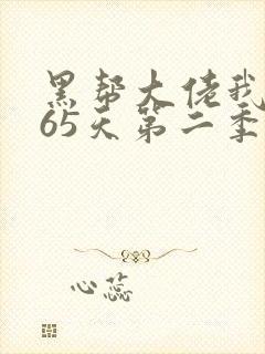 黑帮大佬我的365天第二季电视剧免费观看封面