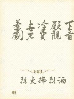 惹上冷殿下电视剧免费观看全集封面