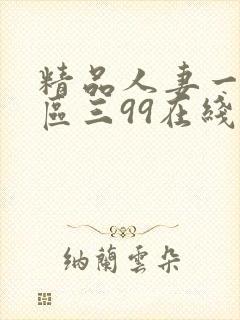 精品人妻一区二区三99在线