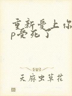 重新爱上你副cp受死了