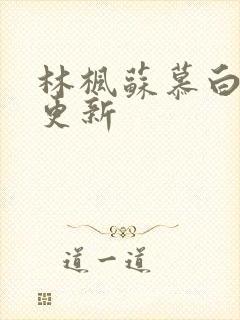 林枫苏慕白超前更新