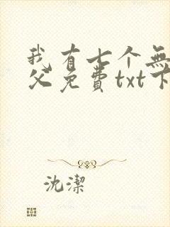 我有七个无敌师父免费txt下载