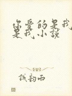 你爱的是我却不是我小说