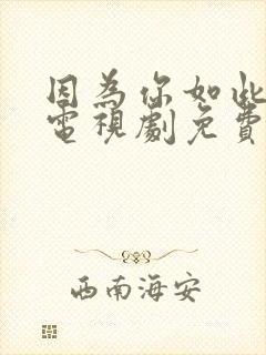 因为你如此耀眼电视剧免费观看全集