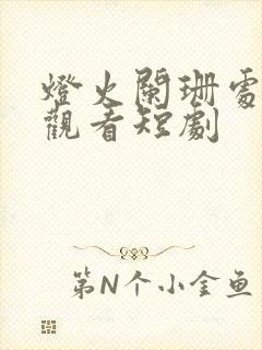 灯火阑珊处在线观看短剧