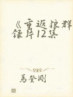 《重返狼群》纪录片12集