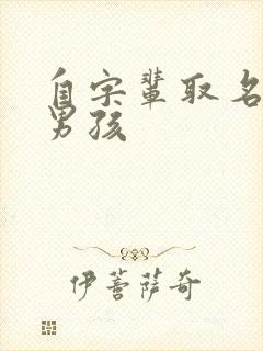 自字辈取名大全男孩封面