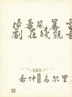 扫毒风暴 电视剧 在线观看