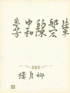 梦中的那片海叶芳和陈宏军结局