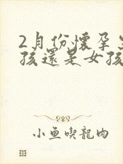 2月份怀孕生男孩还是女孩几率大