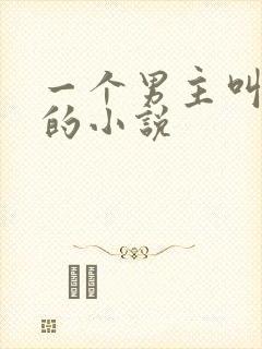 一个男主叫陆渊的小说