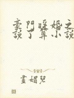 豪门暖婚之夫人说了算小说txt