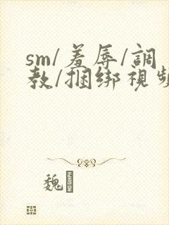 sm/羞辱/调教/捆绑视频