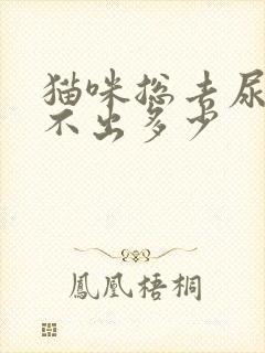 猫咪总去尿又尿不出多少封面