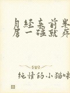 月经来前半月乳房一碰就疼怎么回事